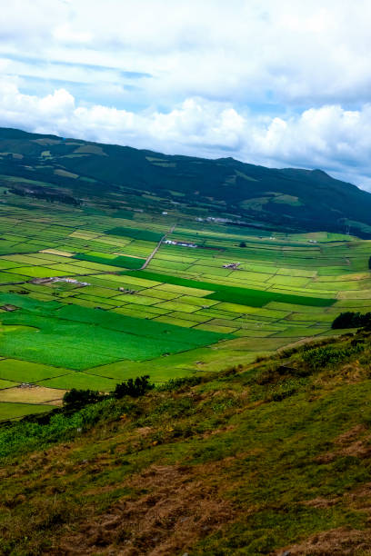 istock Landscape of Terceira Island 1325869117
