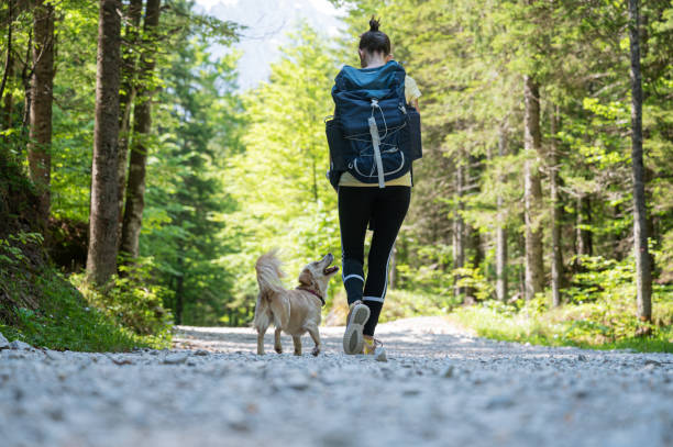 istock Woman hiking with her dog 1325869496