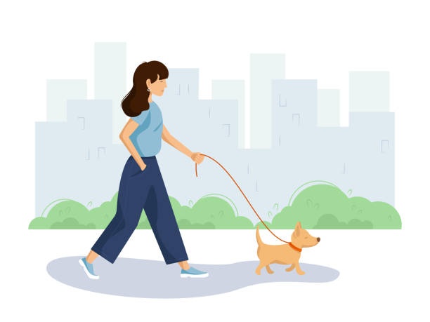 A girl with a dog walking in the park A girl with a dog walking in the park/city Walking stock illustrations