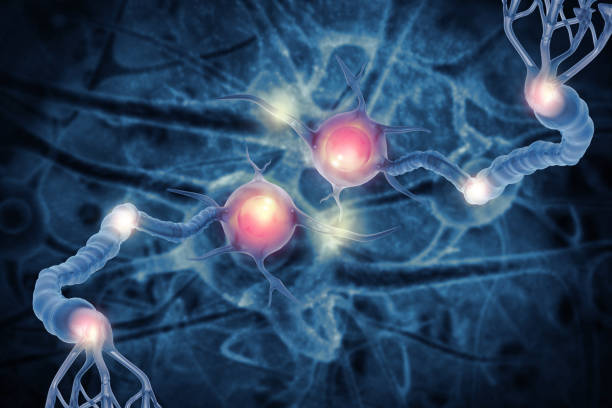 Active nerve cells on scientific background. 3d illustration