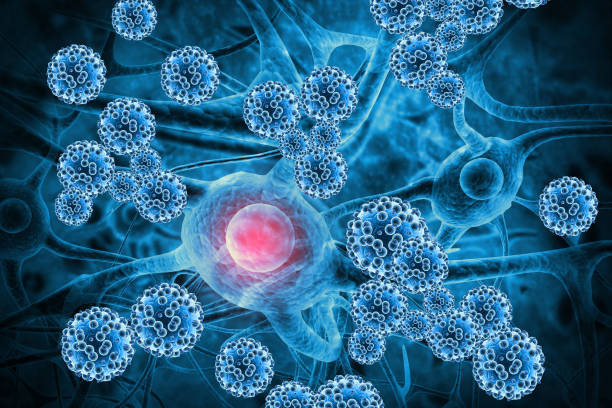 istock Viruses infecting neurons. 3d illustration 1325872508