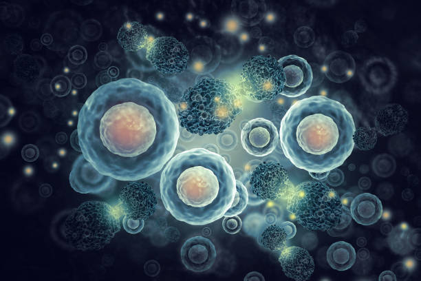 istock Cancer cells on scientific background.3d illustration 1325873634