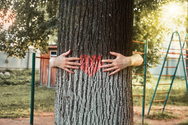 istock Summer sunny day, tree trunk with a red heart, hands hugging a tree, playground 1325876133