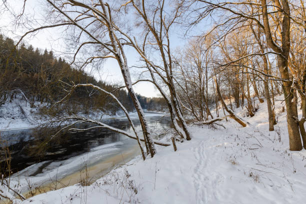 istock river in winter snowy forest. sunny day. beautiful nature 1325876365