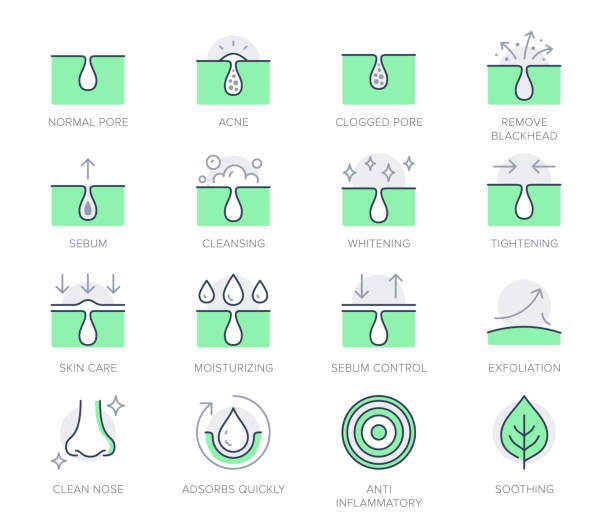 stockillustraties, clipart, cartoons en iconen met cosmetic properties line icons. vector illustration include icon - whitening, acne, moisturizing, cosmetic, gel, pimple, outline pictogram for skincare product. green color, editable stroke - aanhalen