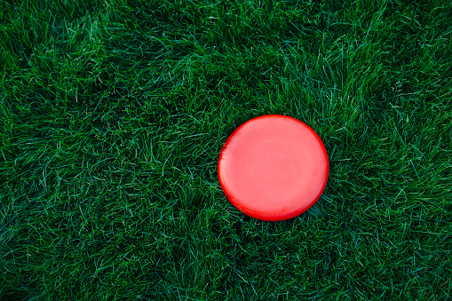 Frisbee flying saucer lies on the grass