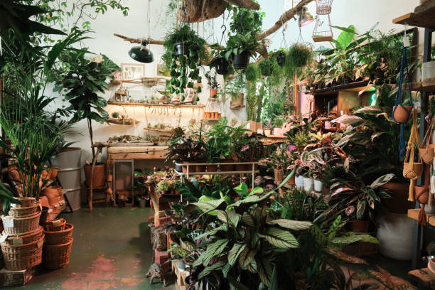 istock Botany garden with plants and flowers 1325881656
