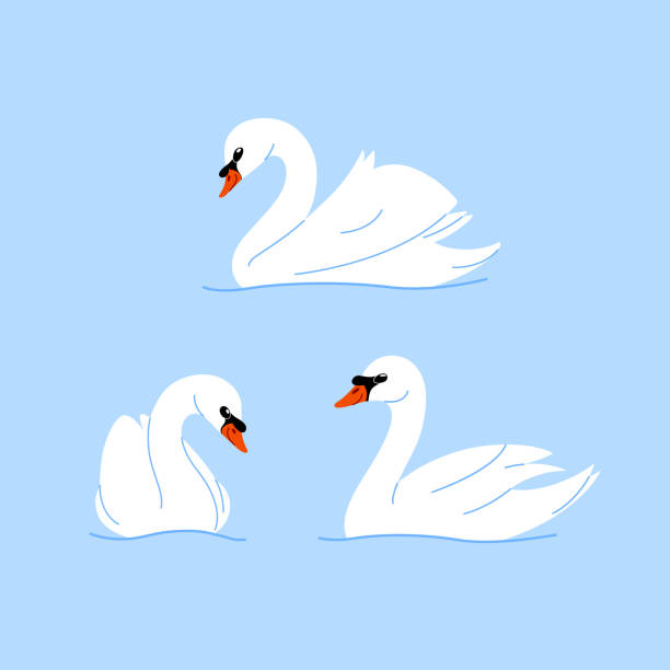 3,797 Swan Drawing Stock Photos, Pictures & Royalty-Free Images - iStock | Dragon 3,797 Swan Drawing Stock Photos, Pictures & Royalty-Free Images - iStock | Dragon