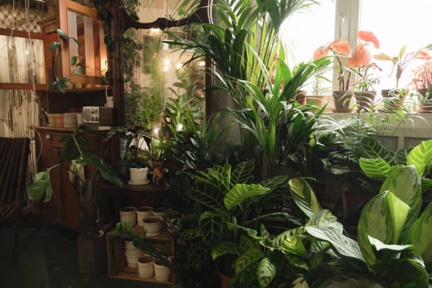 istock Domestic room with green potted plants 1325881981
