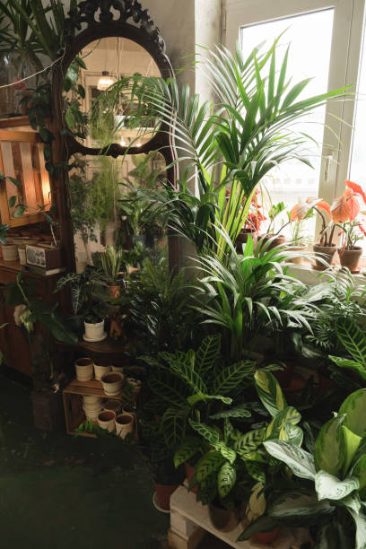 istock Exotic green plants in the room 1325882191