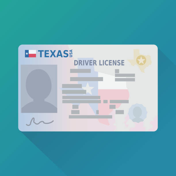Texas driver's license (flat design) Driver's license on a blue background drivers license photos stock illustrations