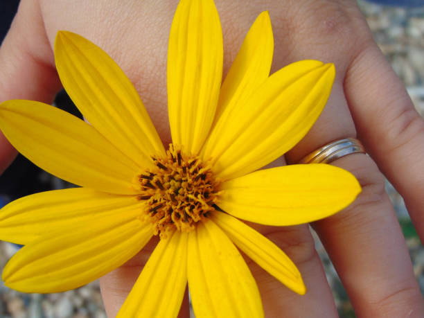 istock a couple holding hands and flower 1325883796