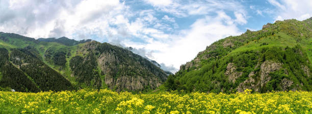 istock Fog in the mountains. Spring scenic landscape in the Caucasus 1325886367