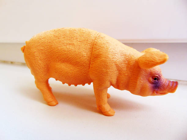 istock pig toy isolated on white 1325887318