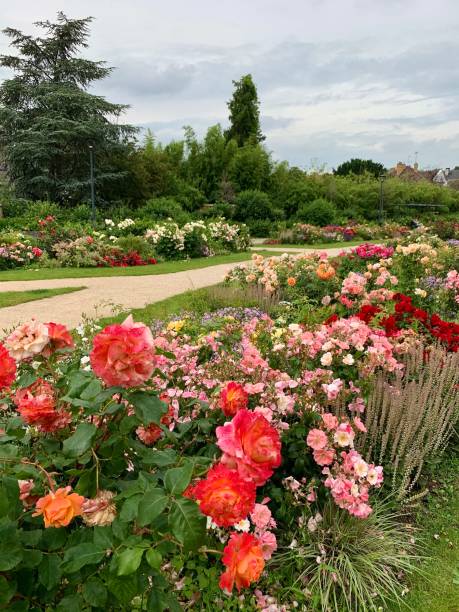 istock Beautiful flowers in a public park. 1325887413