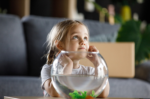 Portrait of adorable little girl holding head in hands and looking up while contemplating the name for her new pet goldfish.