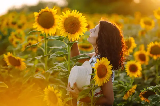 Young woman posing in a field of sunflowers. Nature, holidays, vacation, relax and lifestyle.