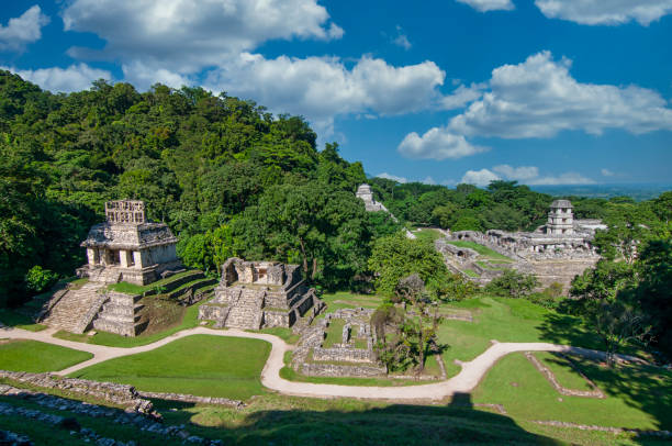 istock Old mayan city ruins 1325891662