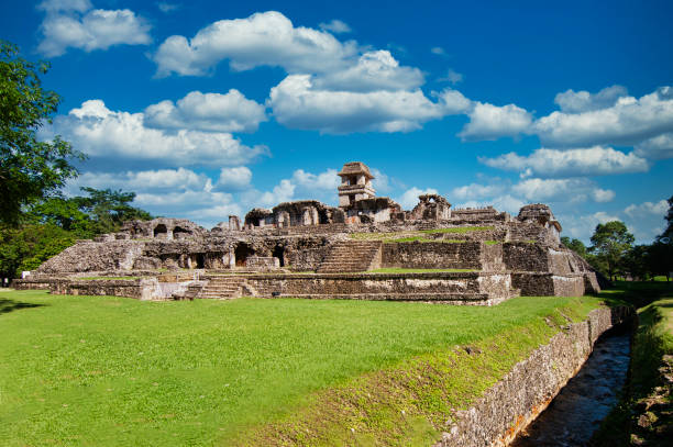 Ancient mayan pyramid temple at Palenque archaeological site, located in Chiapas, Mexico.