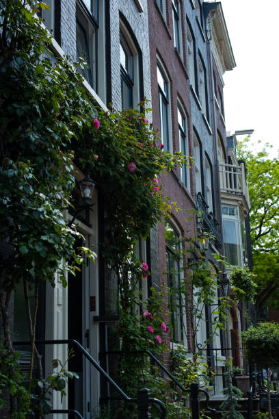 istock red roses in the street 1325893028