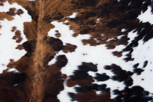 the texture of white and brown cowhide