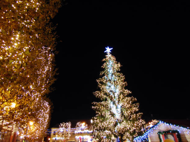 istock Christmas tree in Baia Mare city 1325894761