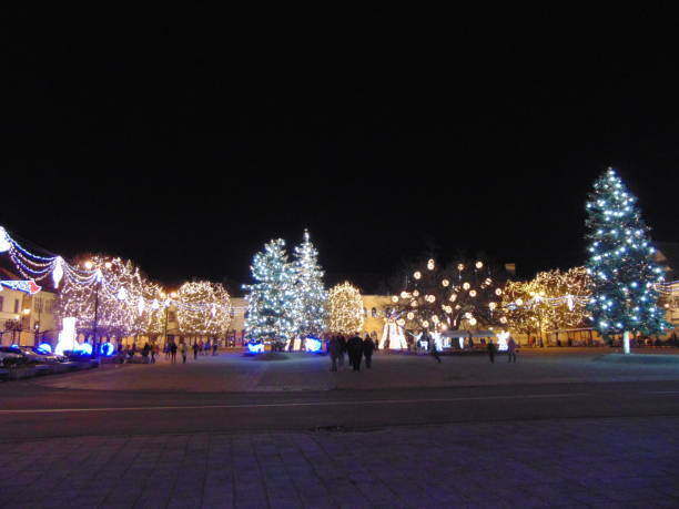 istock Christmas tree in Baia Mare city 1325894796