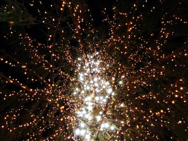 istock Christmas tree in Baia Mare city 1325894922
