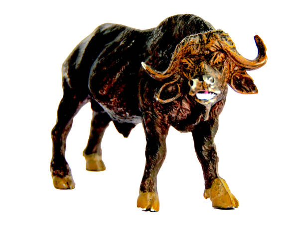 istock african buffalo toy isolated on white 1325895811