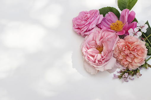 Summer floral decorative corner. Colorful garden flowers and herbs isolated on white table in sunlight. English roses, sage, peony and geranium blooms, leaves, selective focus, blurred background.