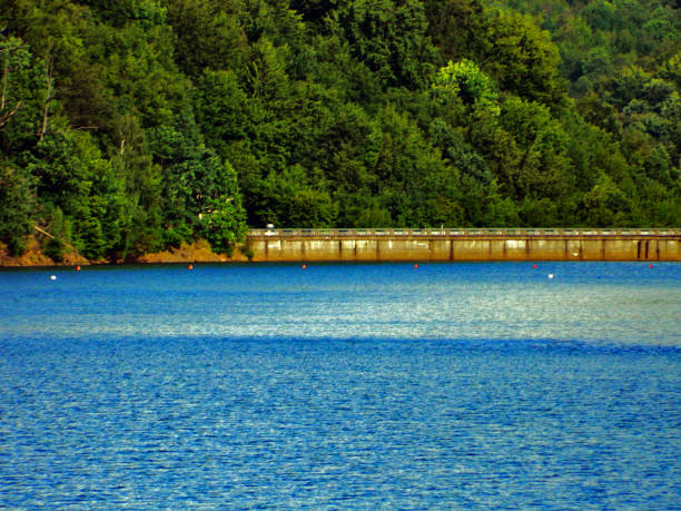 Firiza lake in Maramures county
