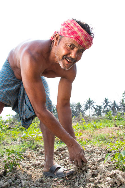 istock Rural Indian Farmer  Working in agricultural field 1325897541