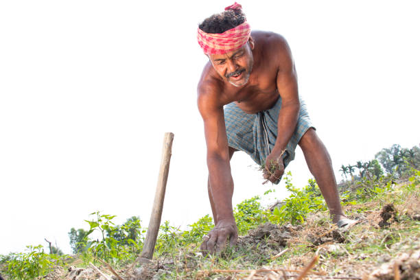 istock Rural Indian Farmer  Working in agricultural field 1325897555