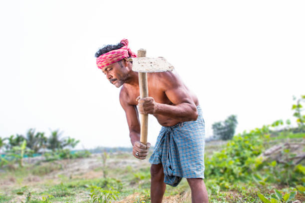 istock Rural Indian Farmer  Working in agricultural field 1325897624