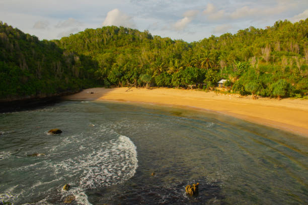 istock High angle view on the lagoon sand beach Kasap with green hills. 1325902220