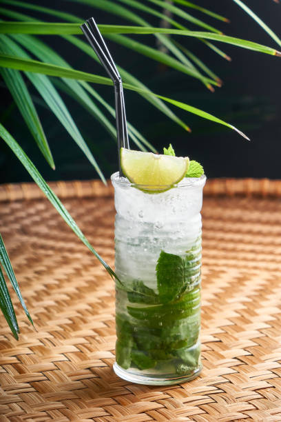 istock Summer chilled drinks with fresh juice, mint, ice. traditional drink mojito 1325902881