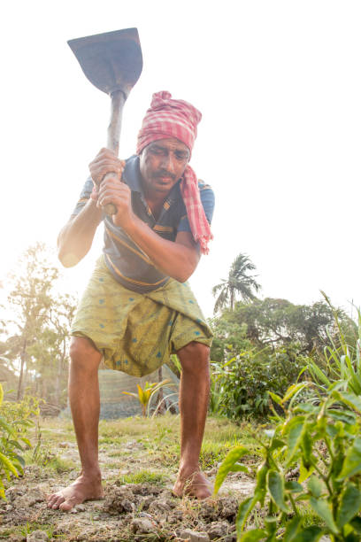 istock Rural Indian Farmer  Working in agricultural field 1325903112