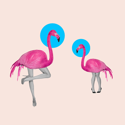 Contemporary art collage. Two flamingo standing on human legs. Surrealism, minimalism in artwork. Inspiration, idea, creativity and fashion beauty concept