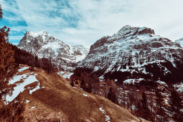 neve derretida em pastagens de montanha alp perto de grindelwald, suíça - hill grindelwald village landscape - fotografias e filmes do acervo