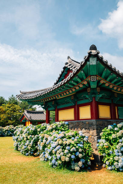 750-south-korea-pictures-download-free-images-on-unsplash