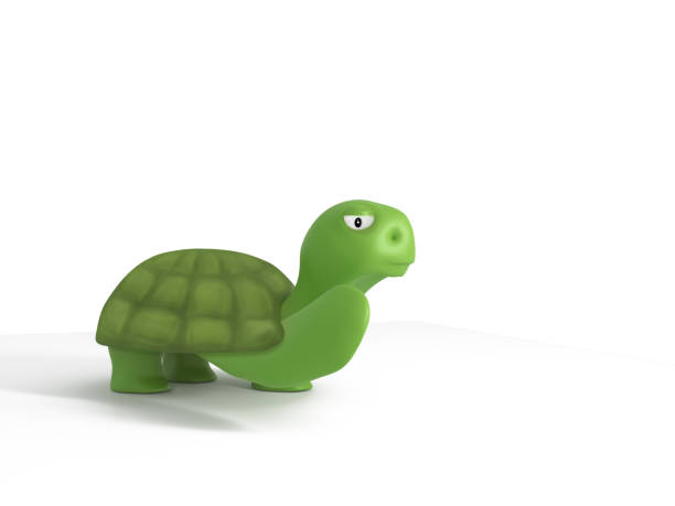 istock 3D illustration of green turtle isolated on white background 1325904464