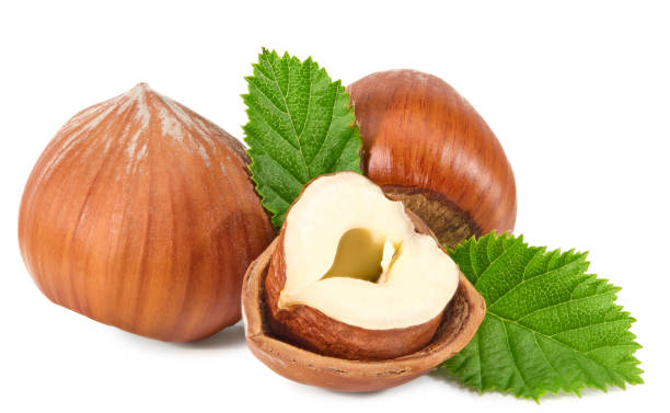 istock hazelnuts with green leaf isolated on white background macro. clipping path 1325909046