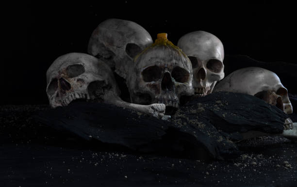 墓地と死者の日に人間の頭蓋骨。 - 人間の頭蓋骨 ストックフォトと画像