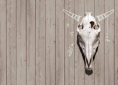 Bull skull with decorative horns hanging on the wooden wall. Dark backdrop with animal skull. Great for restaurant menu or Halloween background.