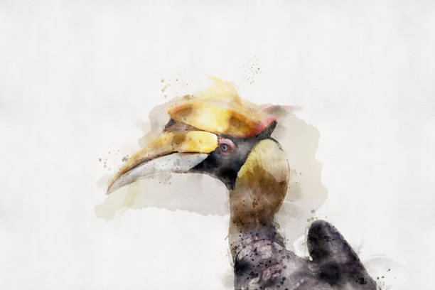 istock Hornbill on a white background. Watercolor style. 1325910645