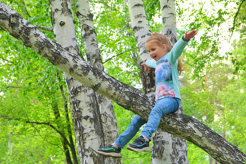 Little girl climbed up a birch tree observing around and open her hands and rejoices. Adventure for young explorer. Happy childhood and freedom concept