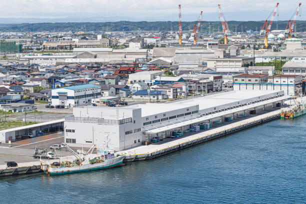 istock Hachinohe City Second Fish Market 1325911780