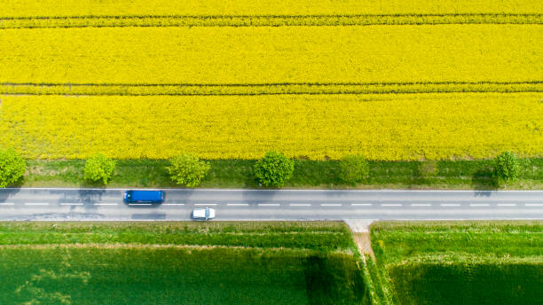 istock Canola fields and country road, agricultural area 1325912850