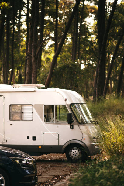 istock Motor Home stationary in a forest 1325916948