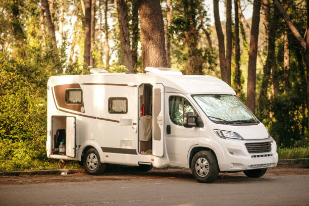 istock Motor Home stationary in a forest 1325916988